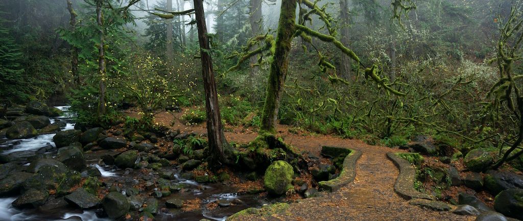 Multnomah Falls - Franklin Ridge Loop